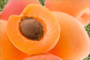 apricots